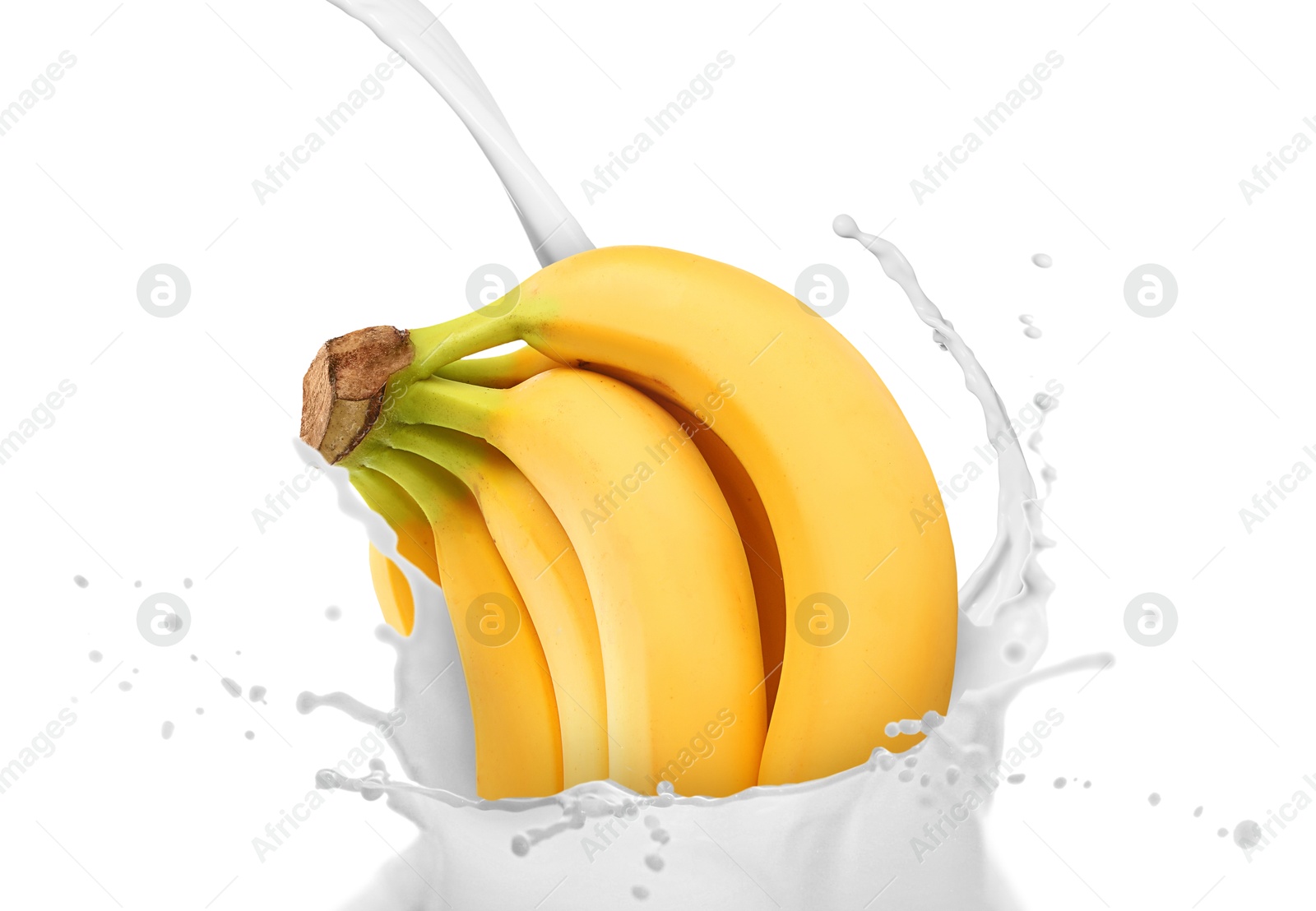Splash of milk with bananas in air on white background Image of Splash of milk with bananas in air on white background