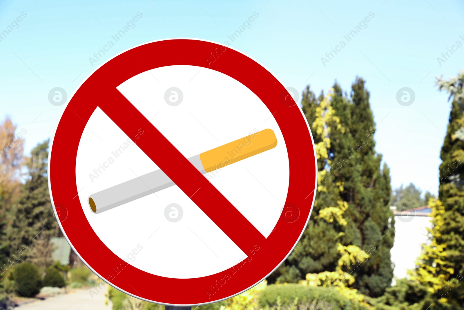 No Smoking sign in park with green trees Image of No Smoking sign in park with green trees
