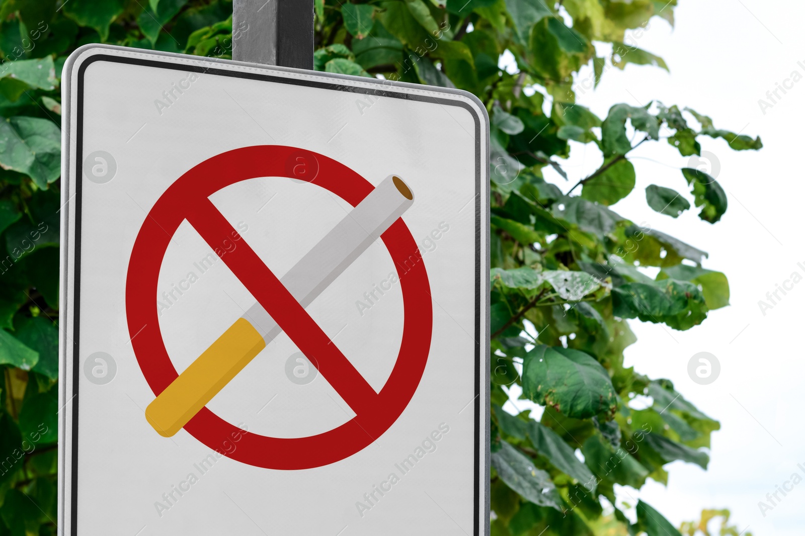 Image of No Smoking sign against tree with green leaves