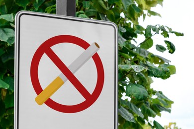 Image of No Smoking sign against tree with green leaves