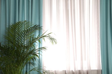 Photo of Beautiful plant near window with elegant curtains in room