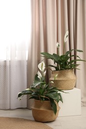 Photo of Beautiful plants near window with elegant curtains in room