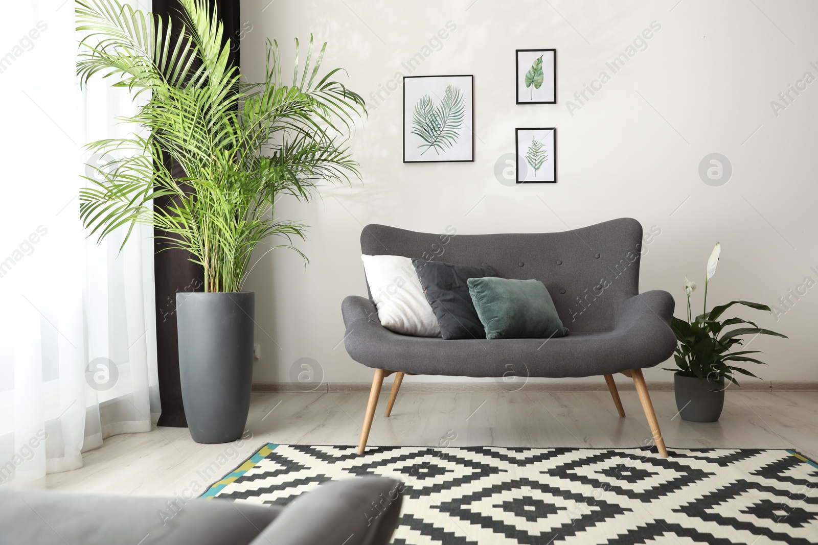Comfortable sofa near window with elegant curtains in room Photo of Comfortable sofa near window with elegant curtains in room
