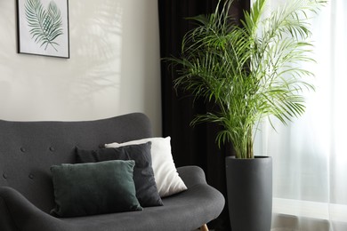 Photo of Comfortable sofa near window with elegant curtains in room