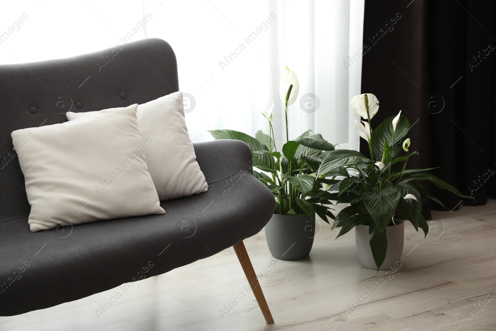 Comfortable sofa near window with elegant curtains in room Photo of Comfortable sofa near window with elegant curtains in room