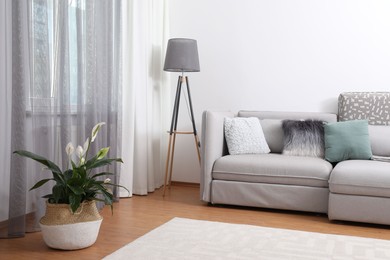 Photo of Window with stylish curtains in living room interior