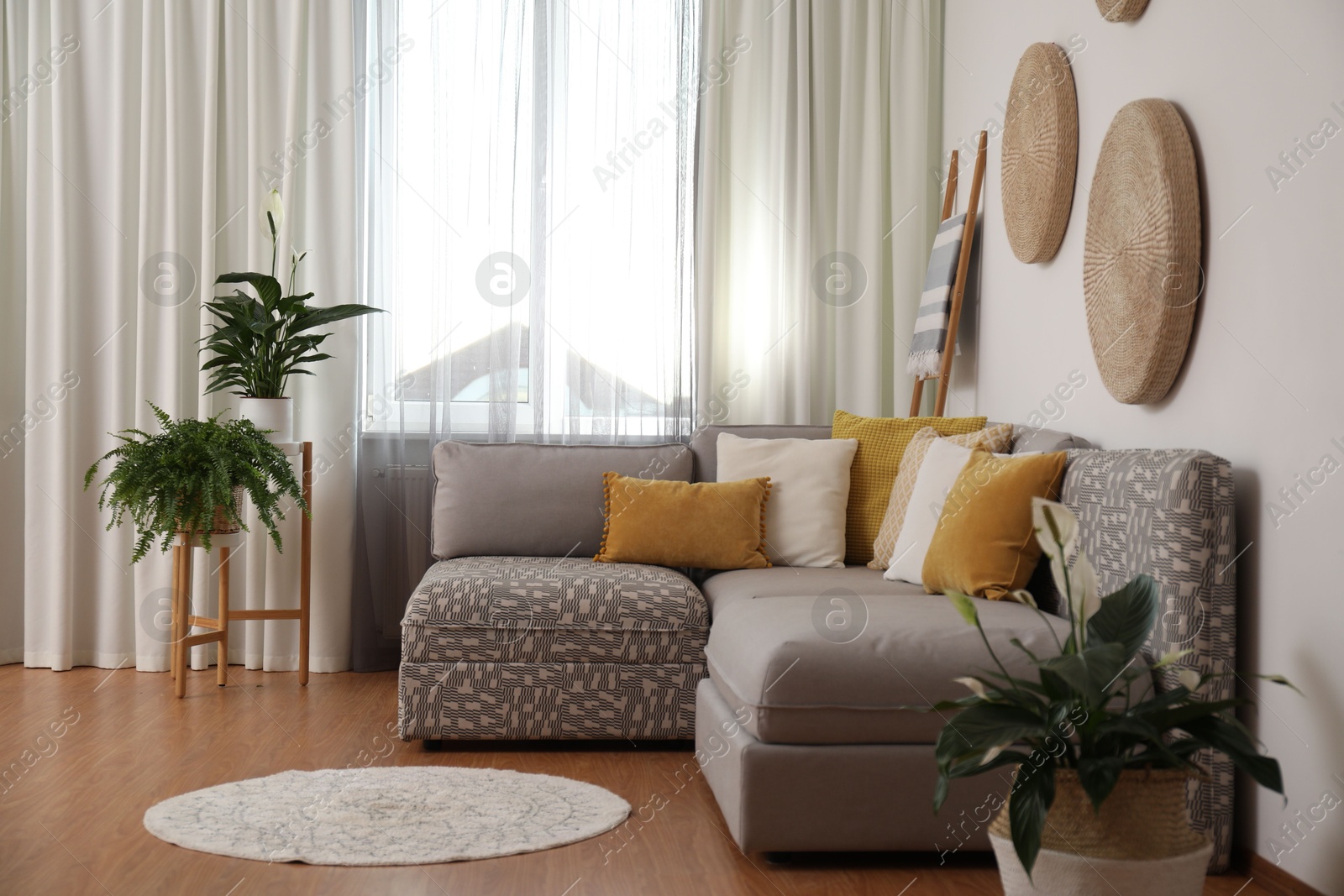 Photo of Window with stylish curtains in living room interior