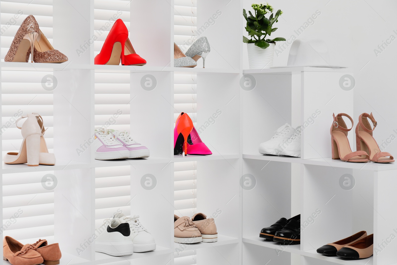 Shoe storage. Shelving unit with different footwear and houseplant indoors Photo of Shoe storage. Shelving unit with different footwear and houseplant indoors