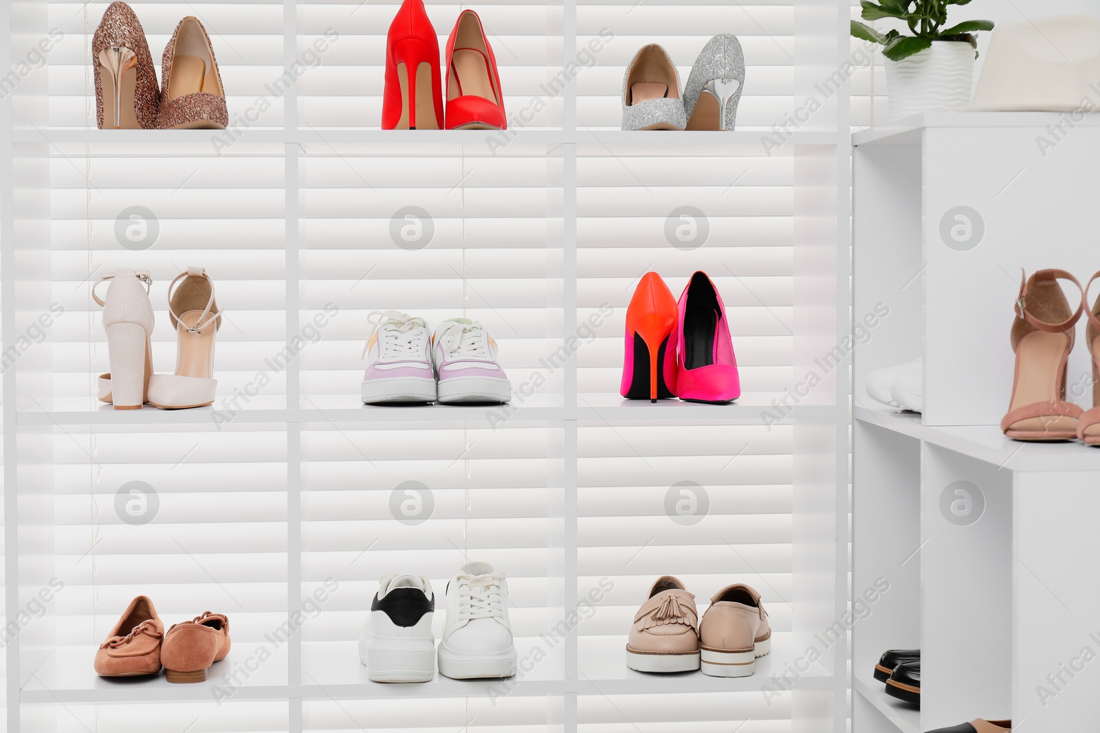 Shoe storage. Shelving unit with different footwear and houseplant indoors Photo of Shoe storage. Shelving unit with different footwear and houseplant indoors