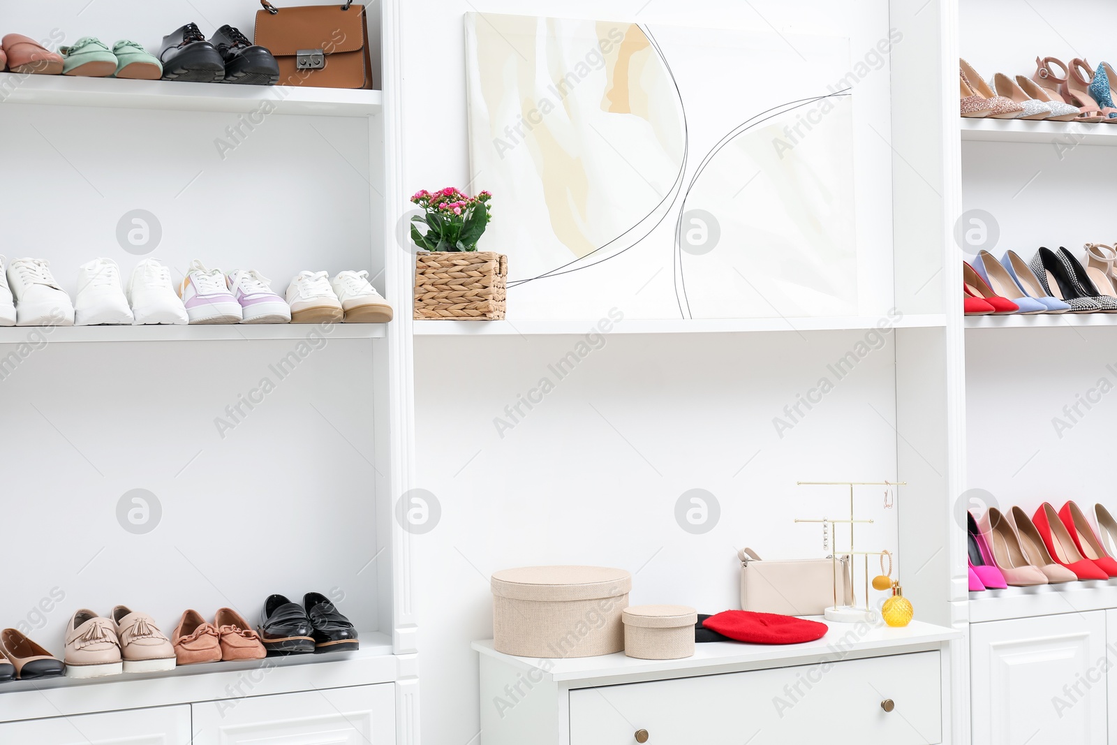 Shoe storage. Shelving unit with different high heeled shoes and accessories indoors Photo of Shoe storage. Shelving unit with different high heeled shoes and accessories indoors