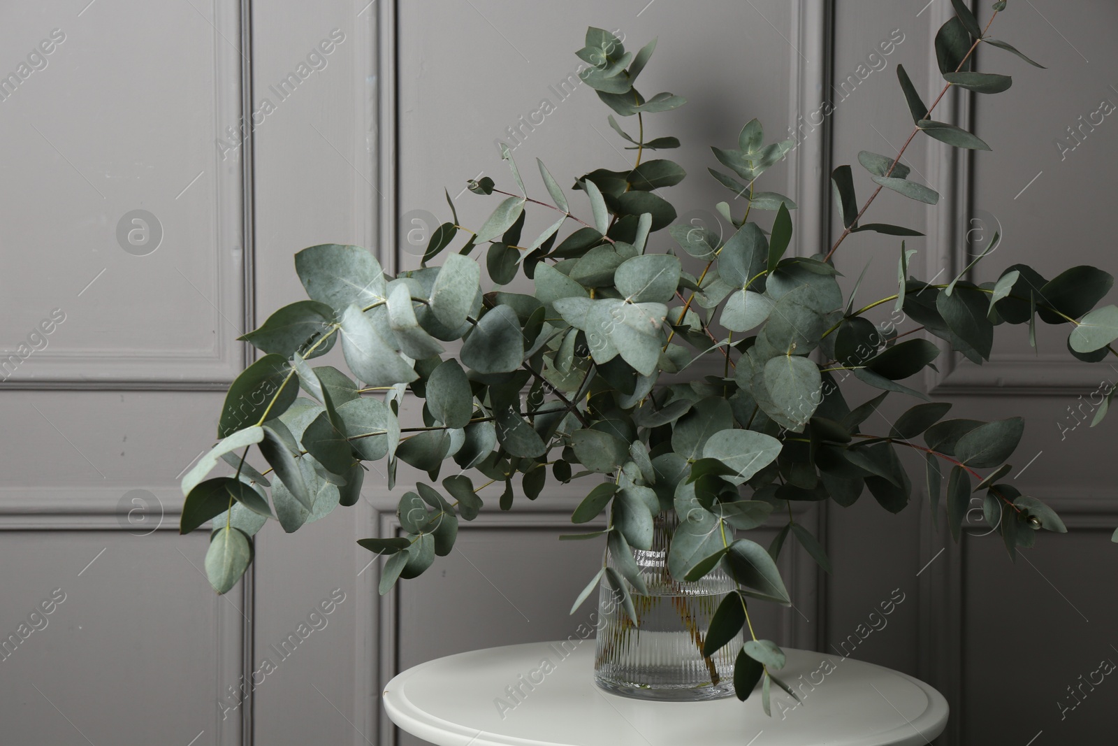 Beautiful eucalyptus branches in vase on table near grey wall indoors Photo of Beautiful eucalyptus branches in vase on table near grey wall indoors