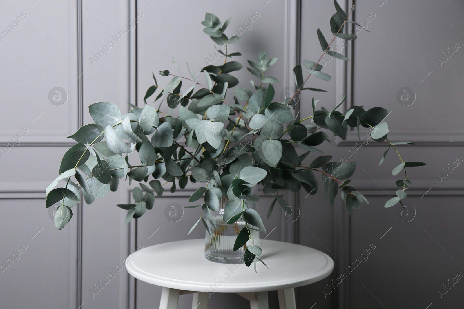 Beautiful eucalyptus branches in vase on table near grey wall indoors Photo of Beautiful eucalyptus branches in vase on table near grey wall indoors