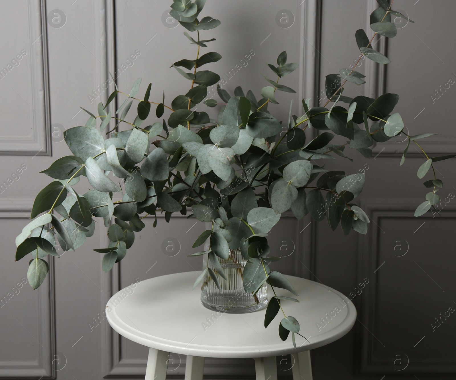 Beautiful eucalyptus branches in vase on table near grey wall indoors Photo of Beautiful eucalyptus branches in vase on table near grey wall indoors
