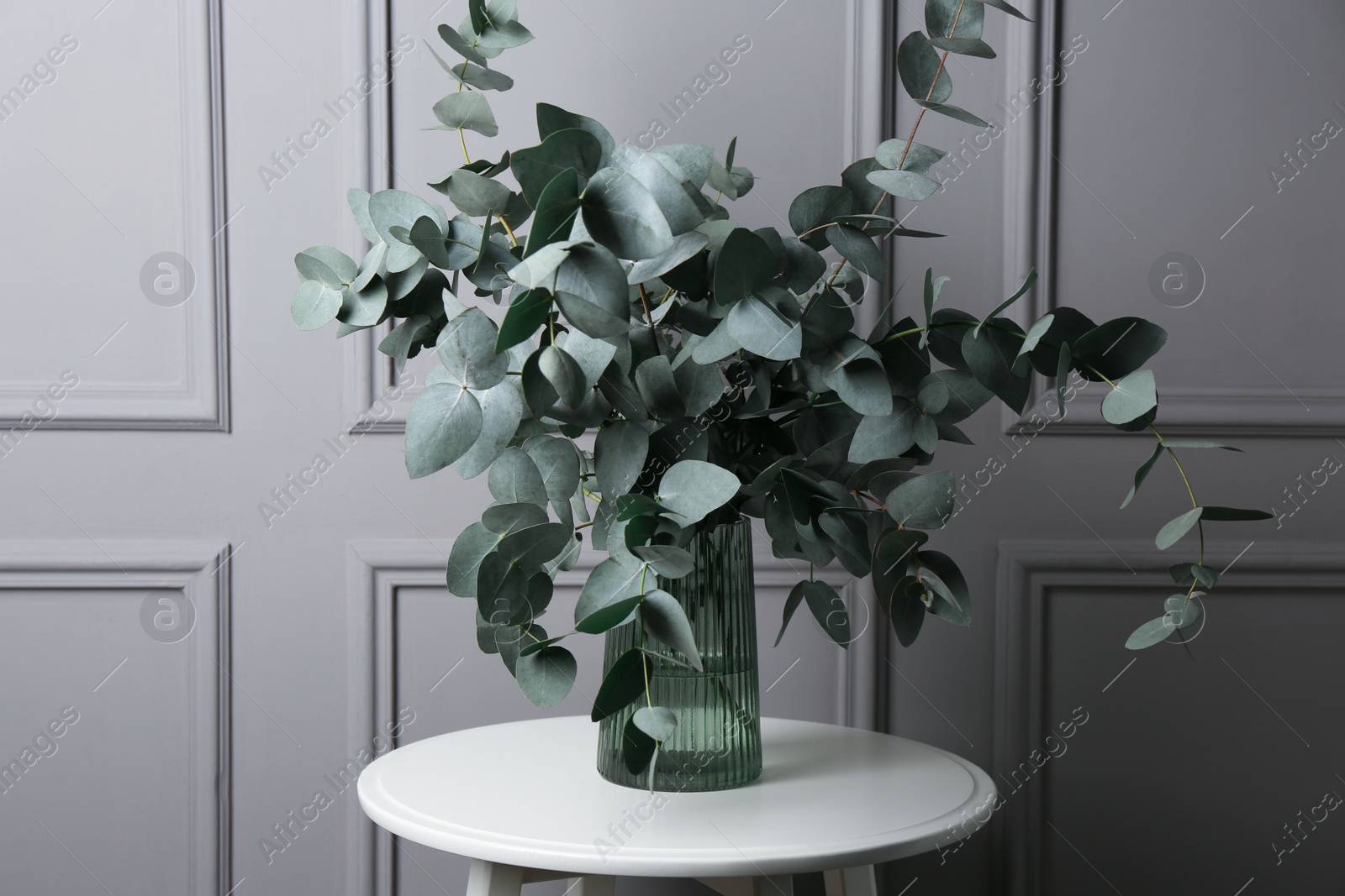 Beautiful eucalyptus branches in vase on table near grey wall indoors Photo of Beautiful eucalyptus branches in vase on table near grey wall indoors