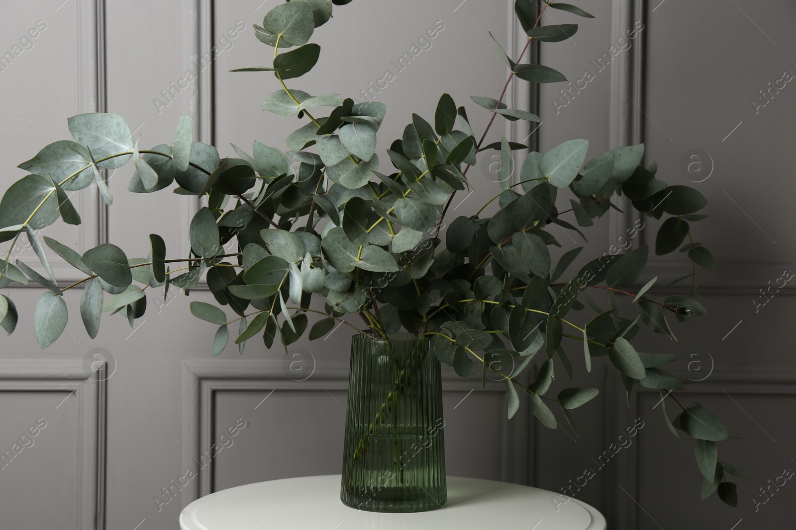 Beautiful eucalyptus branches in vase on table near grey wall indoors Photo of Beautiful eucalyptus branches in vase on table near grey wall indoors