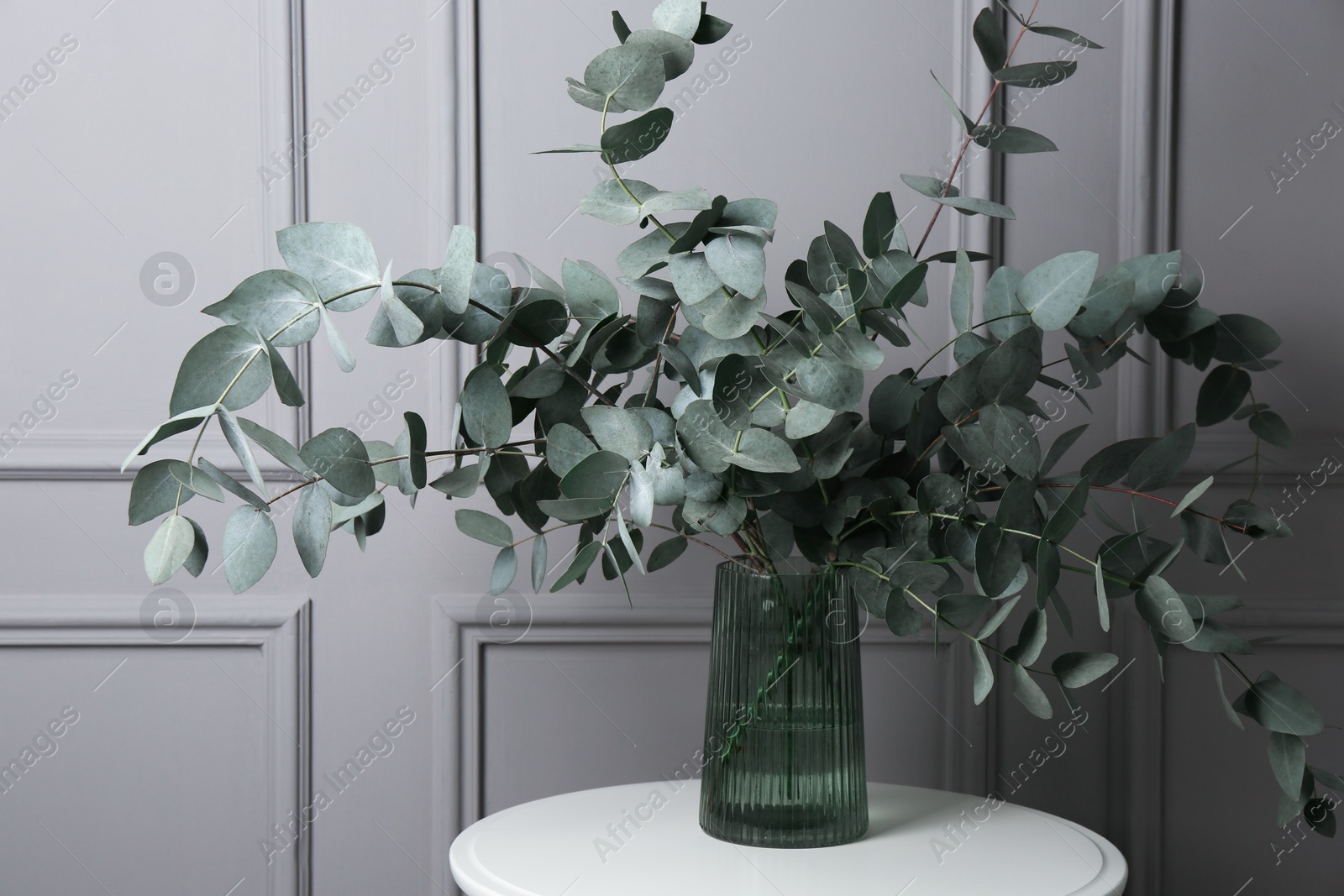 Beautiful eucalyptus branches in vase on table near grey wall indoors Photo of Beautiful eucalyptus branches in vase on table near grey wall indoors