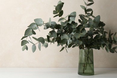 Photo of Beautiful eucalyptus branches in vase on table near light grey wall indoors