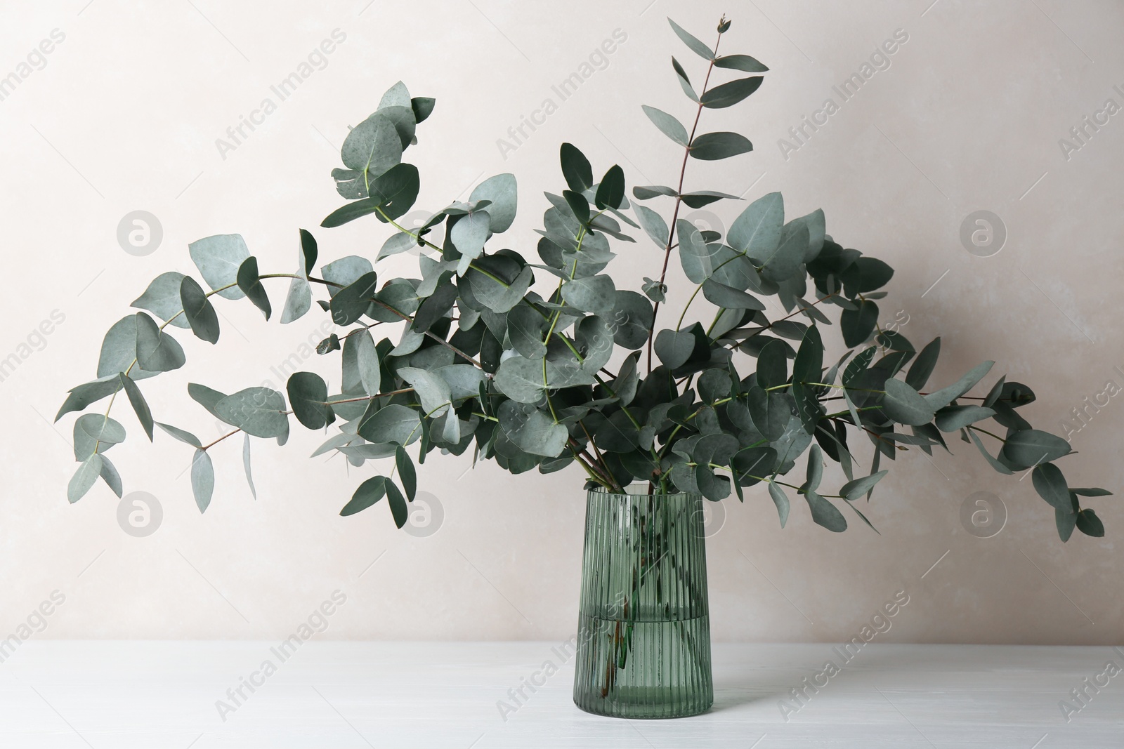 Beautiful eucalyptus branches in vase on table near light grey wall indoors Photo of Beautiful eucalyptus branches in vase on table near light grey wall indoors