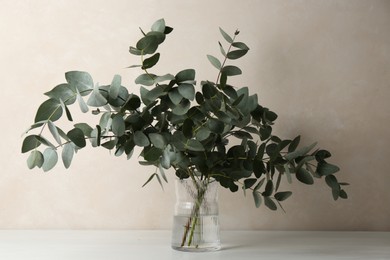 Photo of Beautiful eucalyptus branches in vase on table near light grey wall indoors