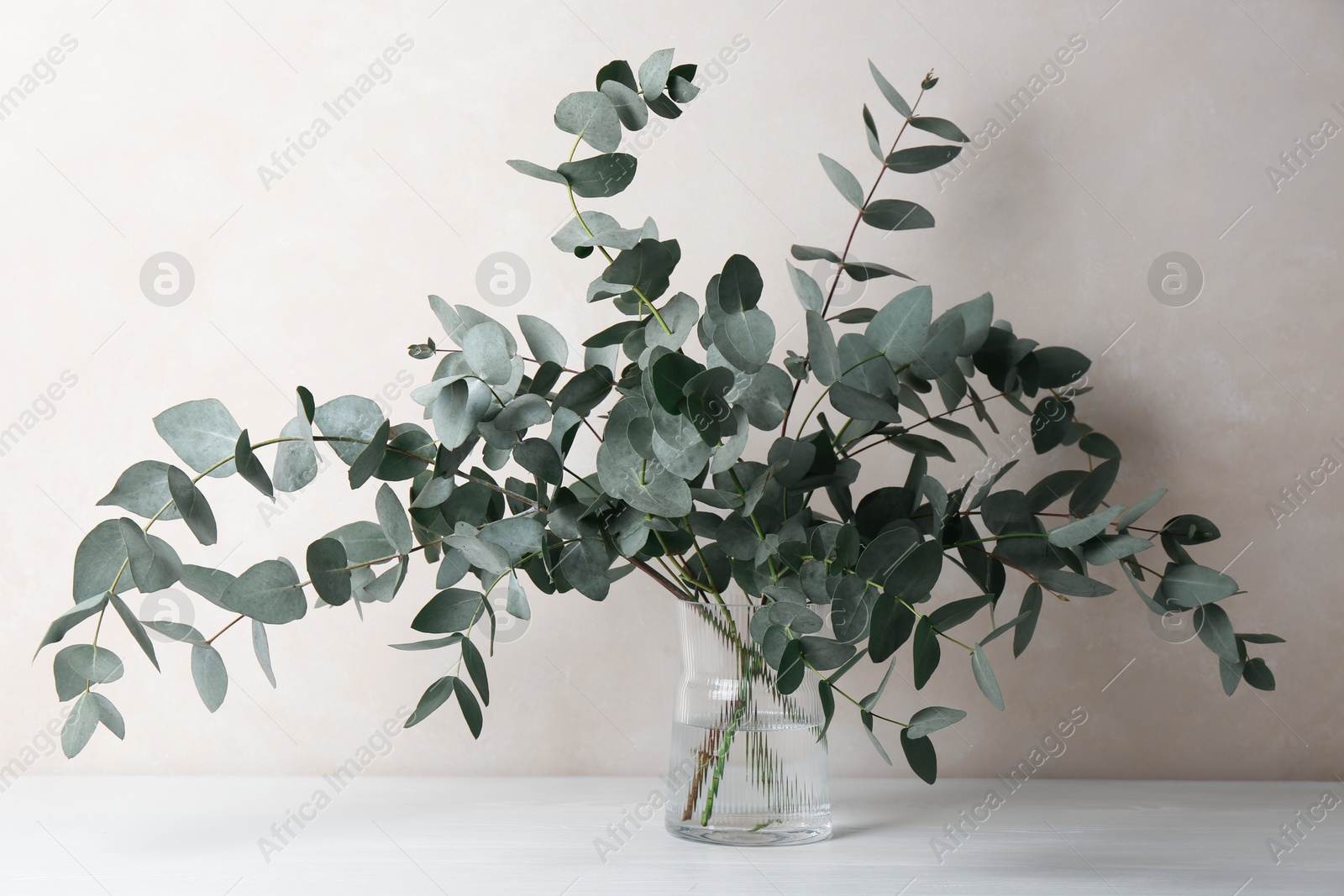 Beautiful eucalyptus branches in vase on table near light grey wall indoors Photo of Beautiful eucalyptus branches in vase on table near light grey wall indoors