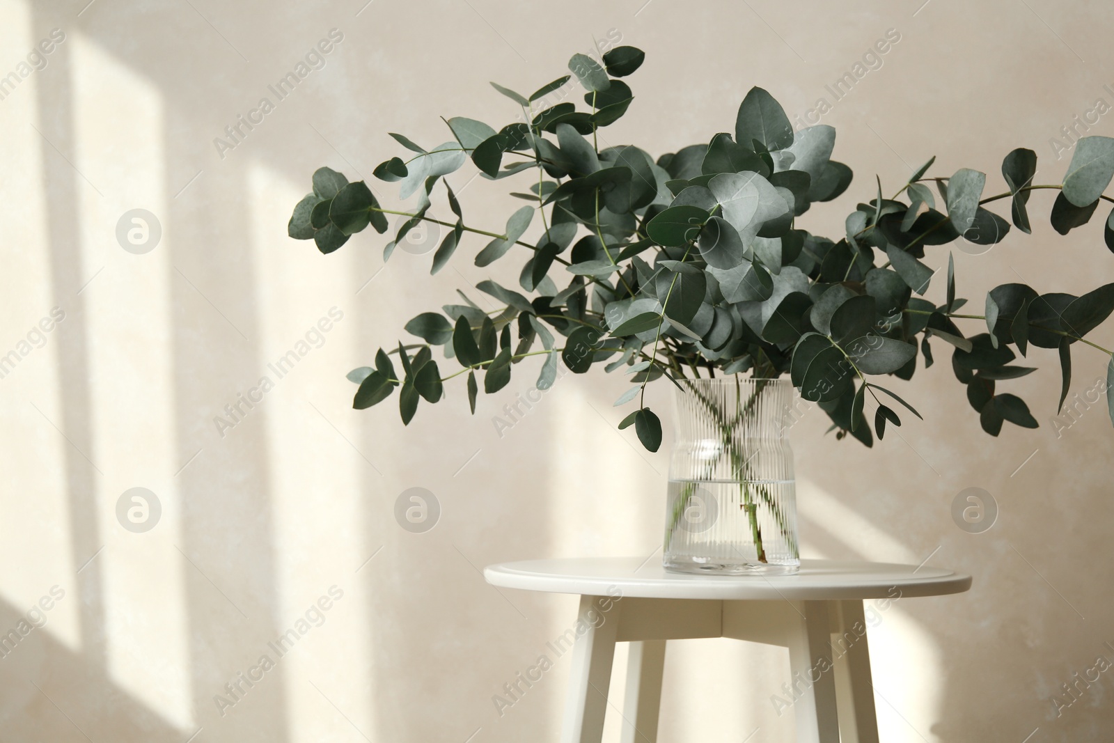 Beautiful eucalyptus branches in vase on table near light grey wall indoors, space for text Photo of Beautiful eucalyptus branches in vase on table near light grey wall indoors, space for text