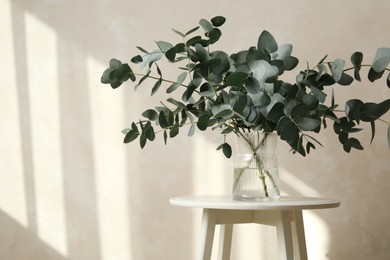 Photo of Beautiful eucalyptus branches in vase on table near light grey wall indoors, space for text