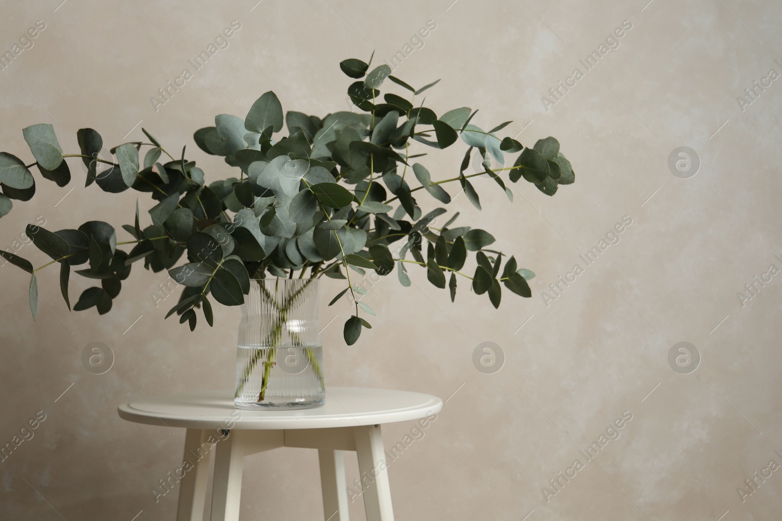 Beautiful eucalyptus branches in vase on table near light grey wall indoors, space for text Photo of Beautiful eucalyptus branches in vase on table near light grey wall indoors, space for text