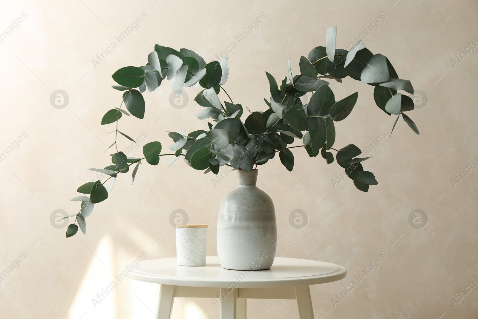 Beautiful eucalyptus branches in vase on table near light grey wall indoors Photo of Beautiful eucalyptus branches in vase on table near light grey wall indoors