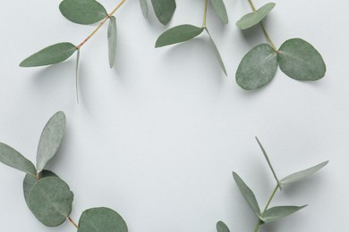 Photo of Beautiful eucalyptus branches on white background, flat lay. Space for text