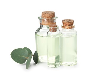 Photo of Bottles of essential oil and eucalyptus leaves isolated on white