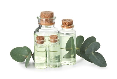 Photo of Bottles of essential oil and eucalyptus leaves isolated on white
