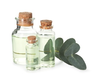 Photo of Bottles of essential oil and eucalyptus leaves isolated on white