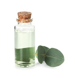 Photo of Bottle of essential oil and eucalyptus leaves isolated on white