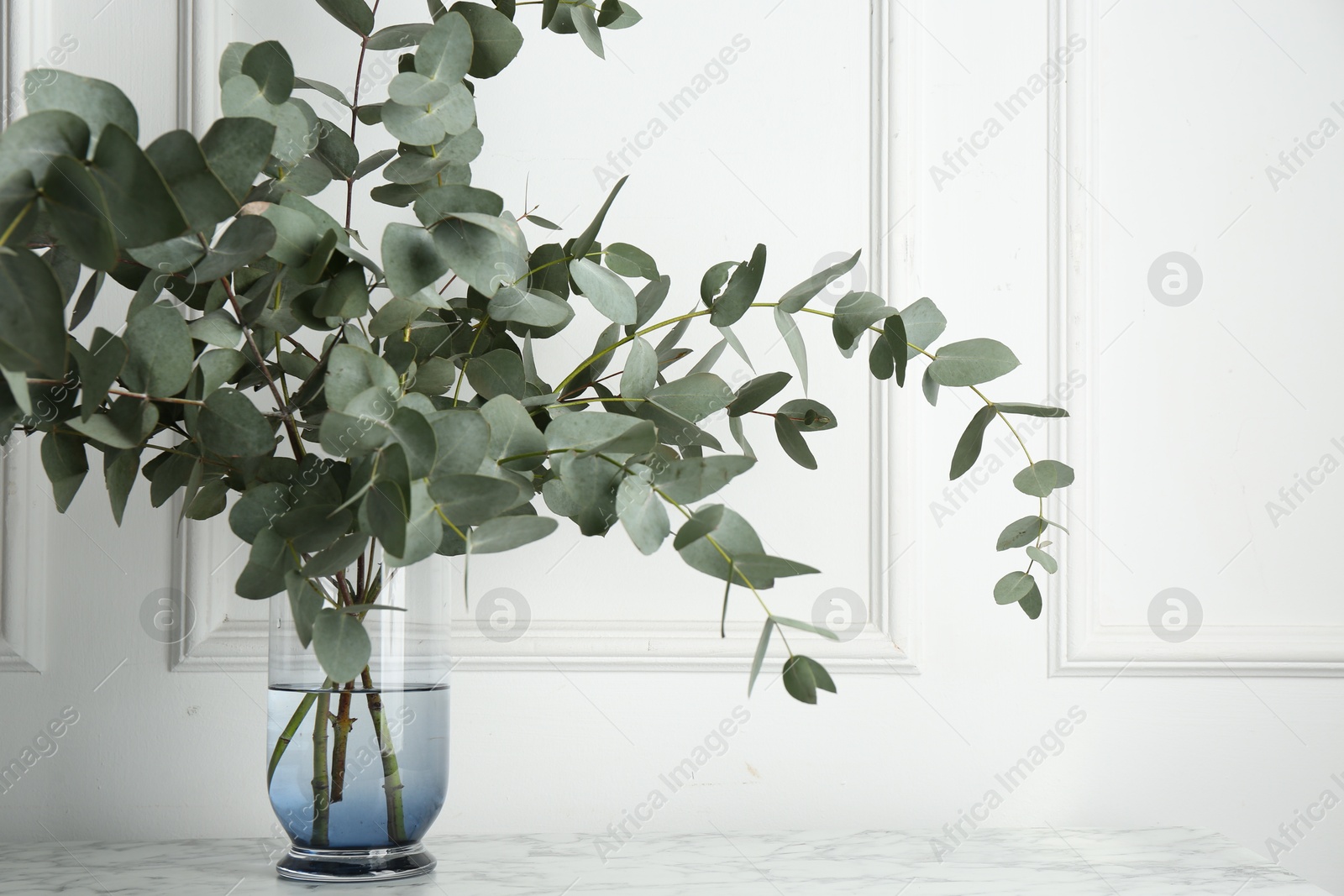Green eucalyptus branches in vase on marble table near white wall indoors Photo of Green eucalyptus branches in vase on marble table near white wall indoors