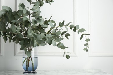 Photo of Green eucalyptus branches in vase on marble table near white wall indoors