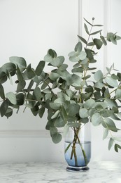 Photo of Green eucalyptus branches in vase on marble table near white wall indoors