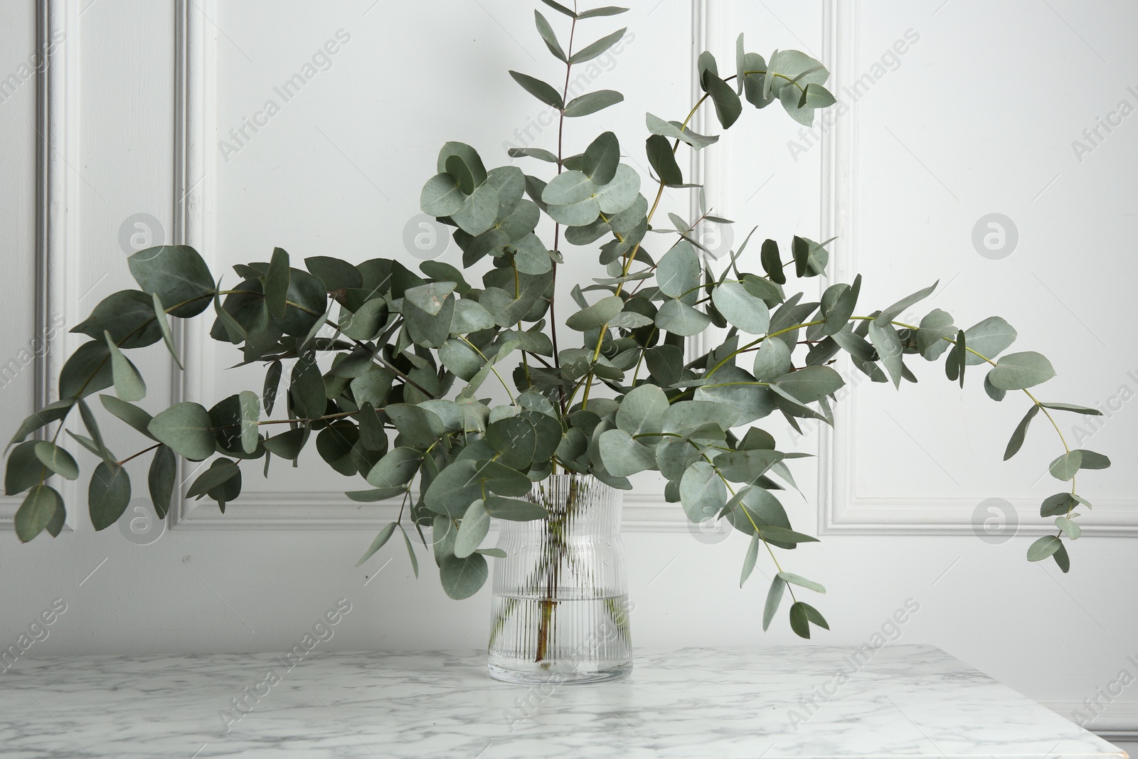Green eucalyptus branches in vase on marble table near white wall indoors Photo of Green eucalyptus branches in vase on marble table near white wall indoors