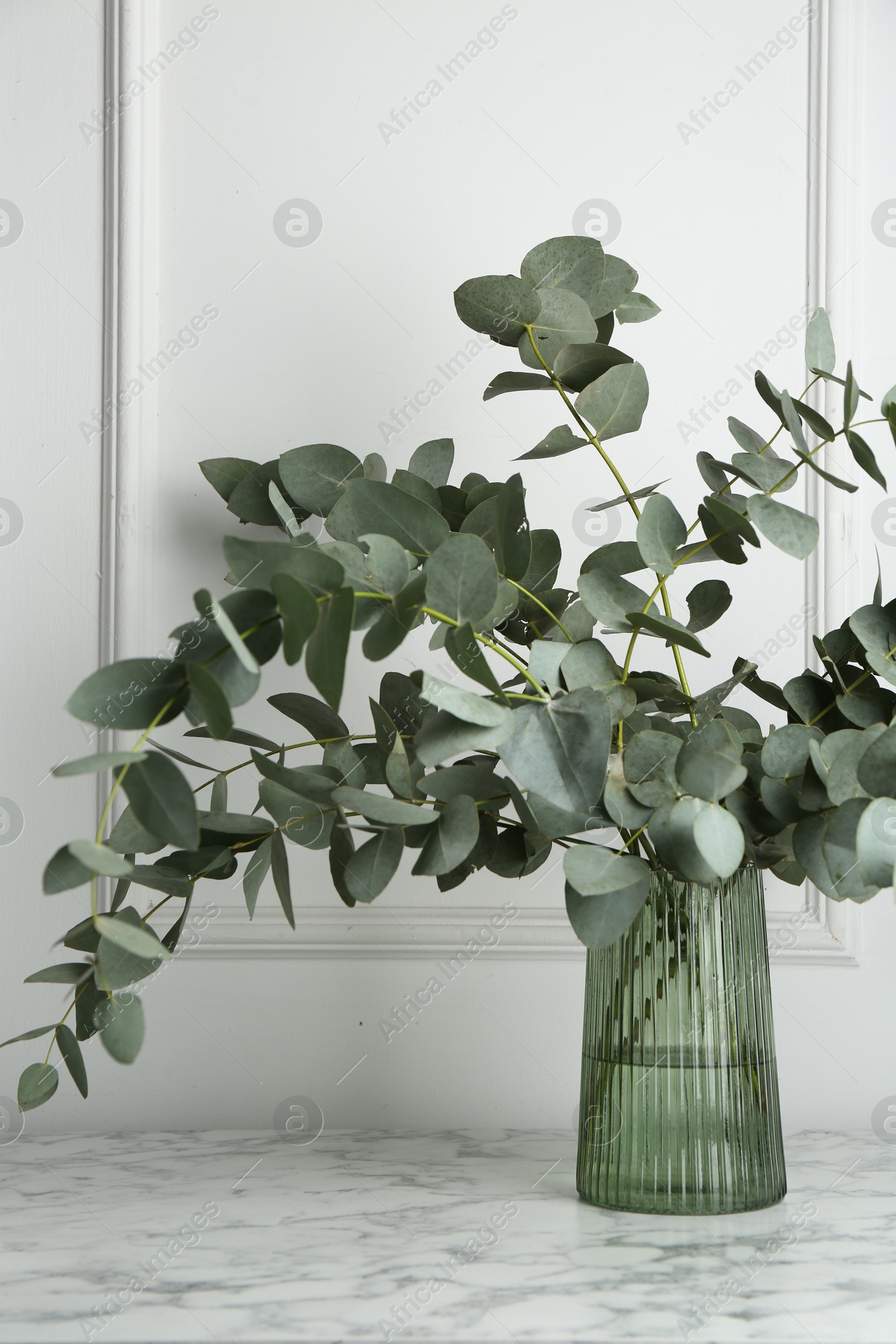 Green eucalyptus branches in vase on marble table near white wall indoors Photo of Green eucalyptus branches in vase on marble table near white wall indoors