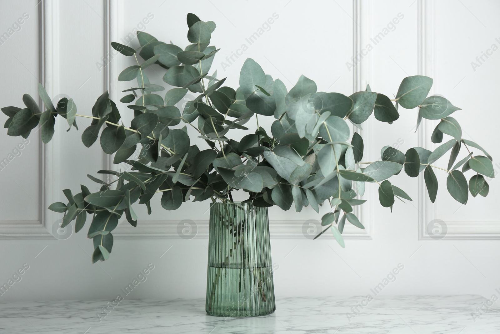 Green eucalyptus branches in vase on marble table near white wall indoors Photo of Green eucalyptus branches in vase on marble table near white wall indoors