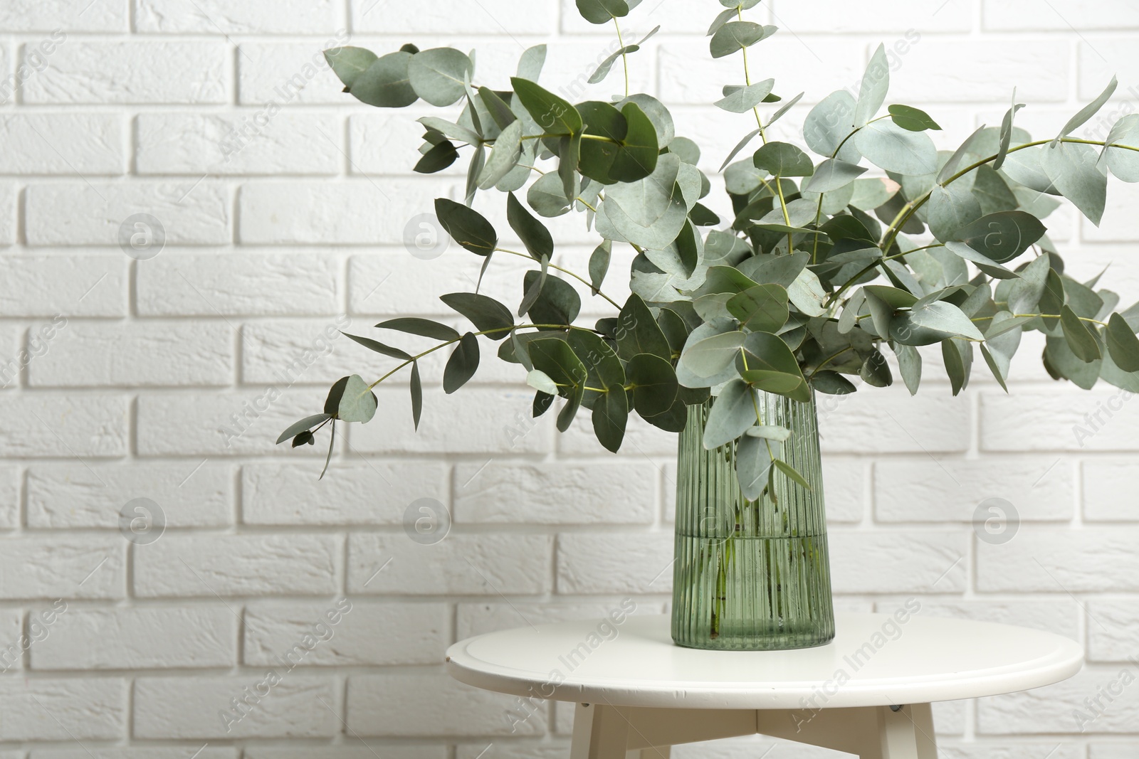 Green eucalyptus branches in vase on table near white brick wall indoors, space for text Photo of Green eucalyptus branches in vase on table near white brick wall indoors, space for text