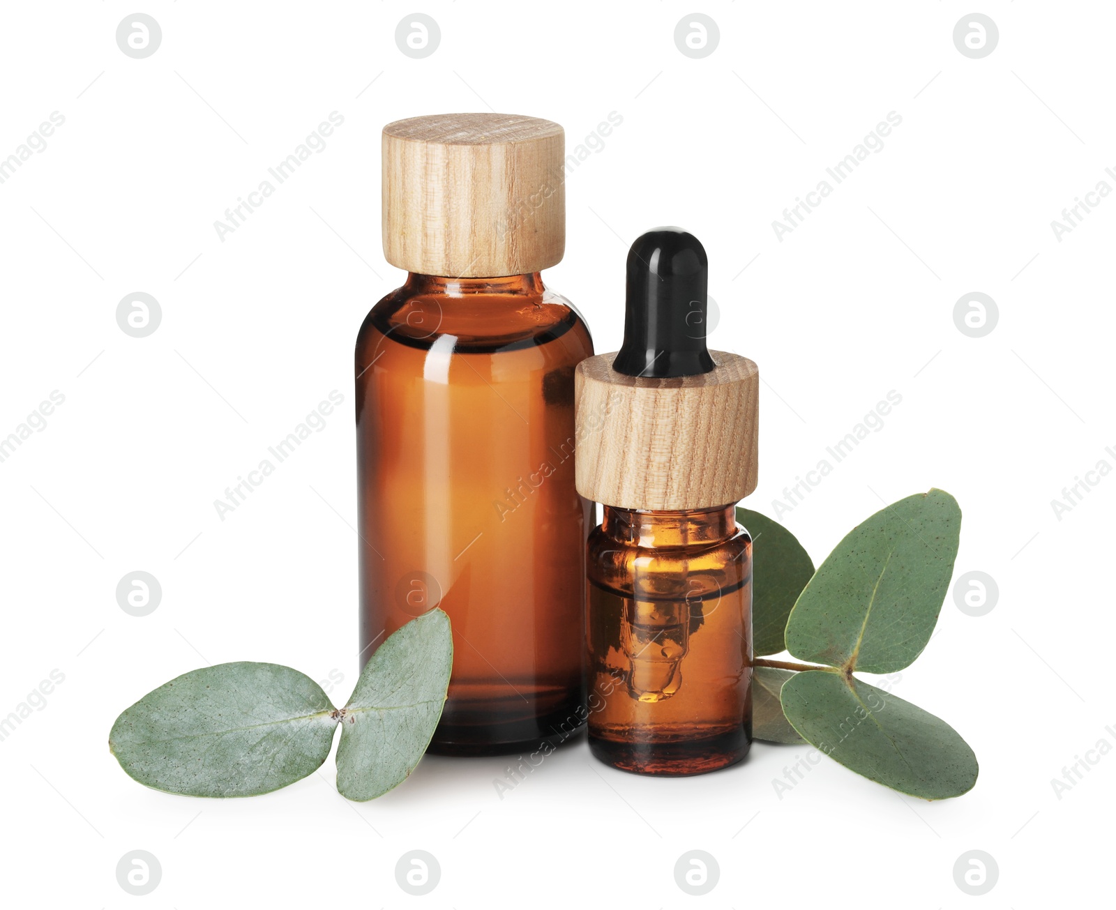 Bottles of essential oil and eucalyptus leaves isolated on white Photo of Bottles of essential oil and eucalyptus leaves isolated on white