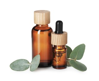 Photo of Bottles of essential oil and eucalyptus leaves isolated on white