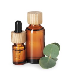 Photo of Bottles of essential oil and eucalyptus leaves isolated on white