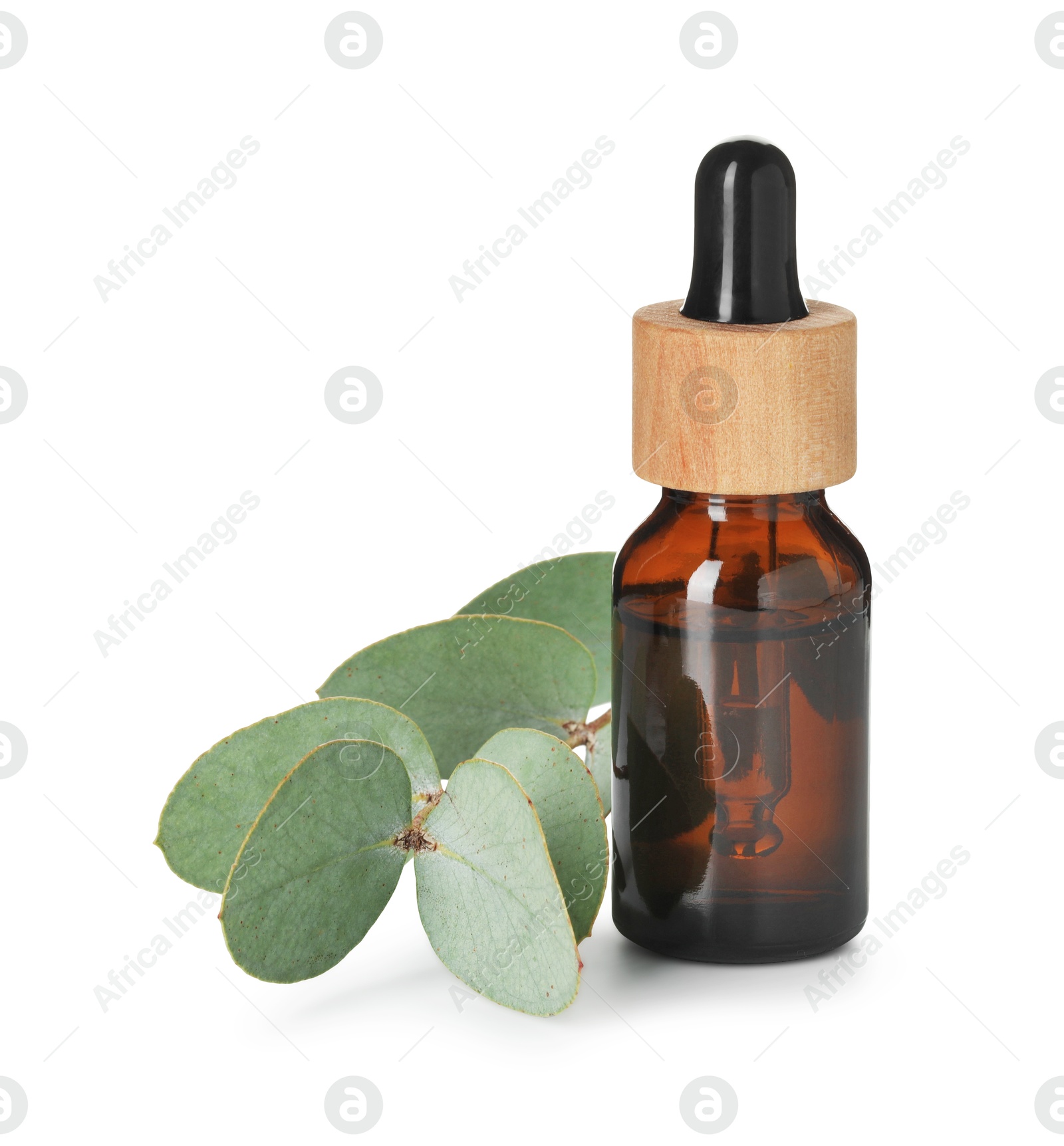 Bottle of essential oil and eucalyptus leaves isolated on white Photo of Bottle of essential oil and eucalyptus leaves isolated on white