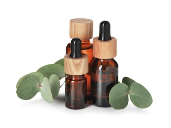 Photo of Bottles of essential oil and eucalyptus leaves isolated on white