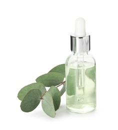 Photo of Bottle of essential oil and eucalyptus leaves isolated on white