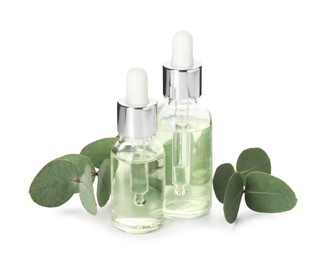 Photo of Bottles of essential oil and eucalyptus leaves isolated on white