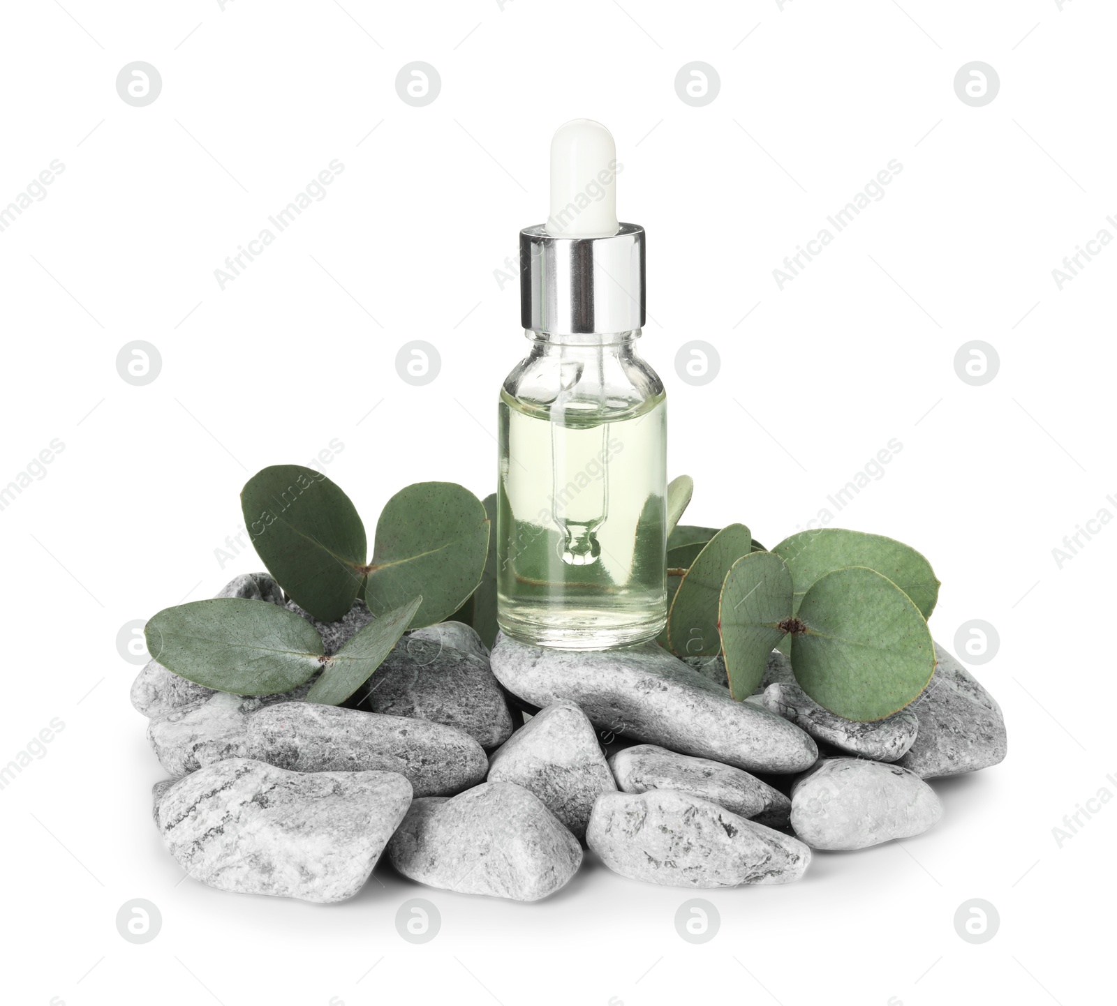 Bottle of essential oil, eucalyptus leaves and stones isolated on white Photo of Bottle of essential oil, eucalyptus leaves and stones isolated on white