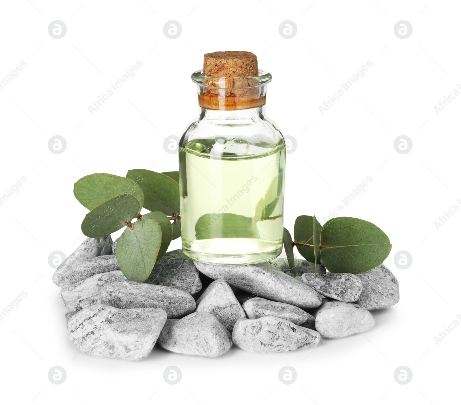 Bottle of essential oil, eucalyptus leaves and stones isolated on white Photo of Bottle of essential oil, eucalyptus leaves and stones isolated on white
