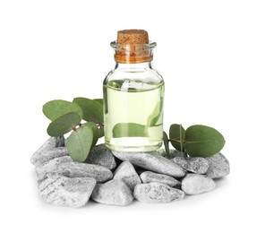 Photo of Bottle of essential oil, eucalyptus leaves and stones isolated on white